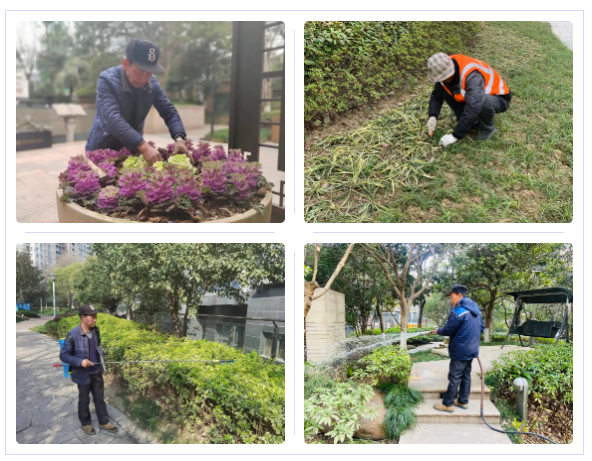 3月幸福印象 | 用點滴服務守護幸福